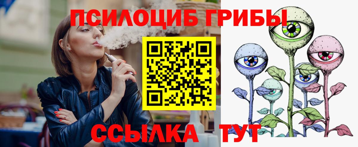 Псилоцибиновые грибы Cubensis Родники